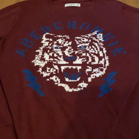 ABERCROMBIE KIDS BOYS SWEATER SZ 15/16 - Picture 3 of 6